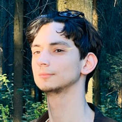 Максим Мышкин